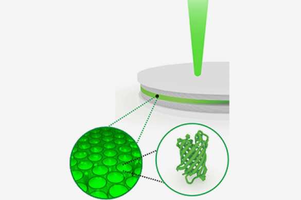 Ученые создали лазер, работающий на кишечной палочке | Русская весна