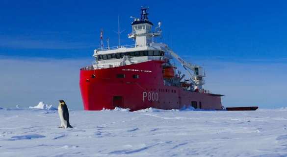 Десятки учёных оказались в ледовой ловушке в Антарктиде (ВИДЕО) | Русская весна