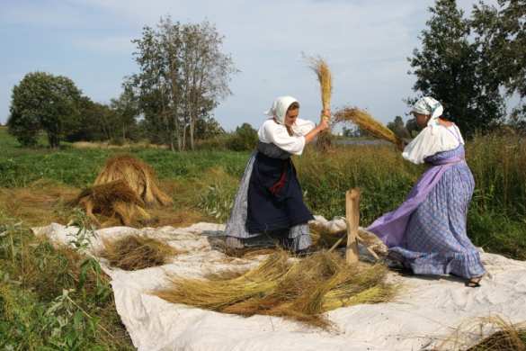 Гривны будут печатать на украинском льне | Русская весна