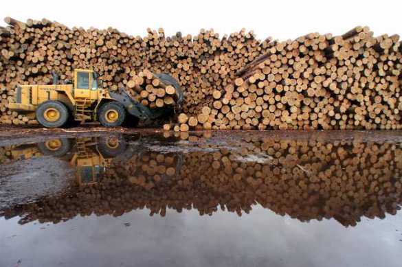 Украине придется принять «лесной ультиматум» Евросоюза | Русская весна