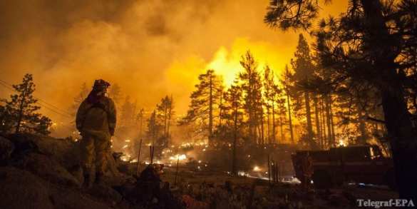 В Италии пожарные поджигали леса, чтобы получить премию | Русская весна