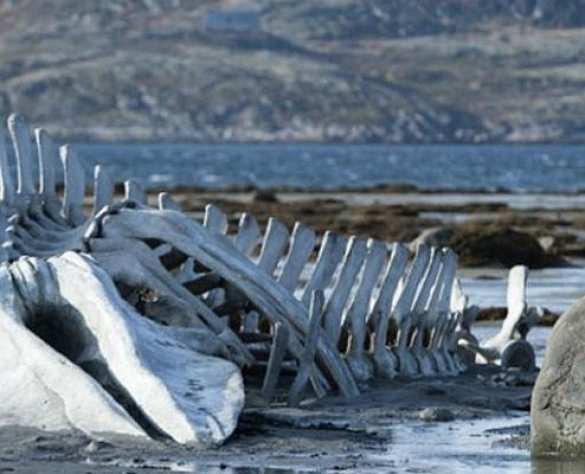 «У русских жизни нет. Значит, и убивать можно» | Русская весна