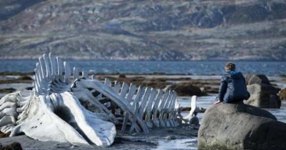 «Левиафан». Чудовище, выпущенное Звягинцевым | Русская весна