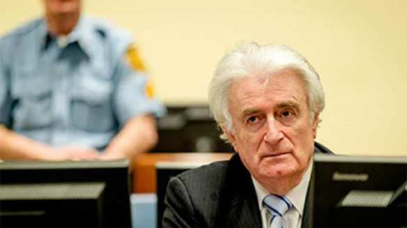 Приговор Караджичу — шантаж со стороны Запада | Русская весна