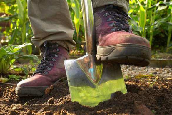 Безработных украинцев начинают «мобилизовывать» для участия в общественно полезных работах, — министр экономики | Русская весна