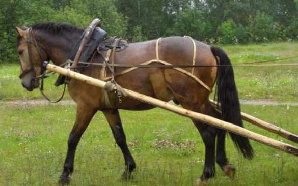 Украинский автопром гибнет? У Порошенко есть решение: надо продавать коней | Русская весна