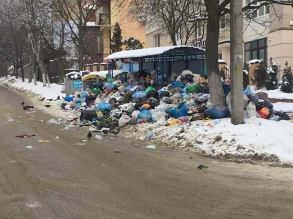 Во Львове из-за мусора перекрывали улицы (ФОТО) | Русская весна