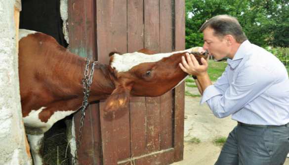Дочь Ляшко подрабатывает на ферме (ВИДЕО) | Русская весна
