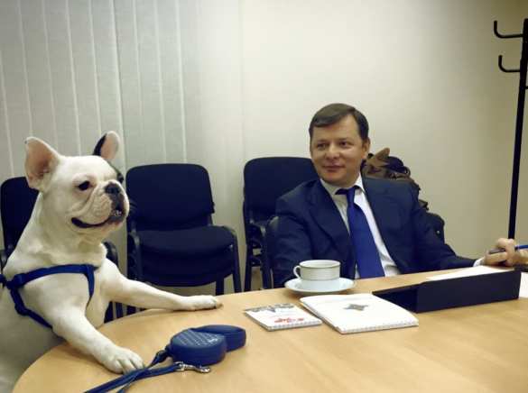 Ляшко привёл собаку в Раду (ВИДЕО) | Русская весна