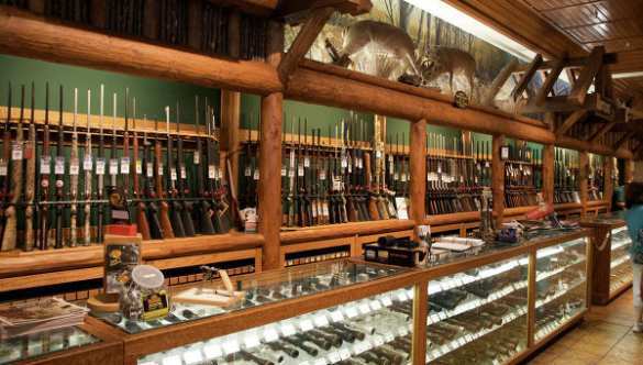 Журналисты призвали власти США «остановить эпидемию оружия» | Русская весна