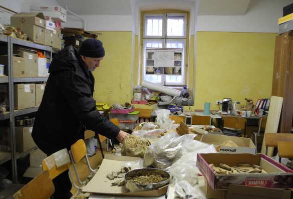 На Украине нашли зуб хазарского мамонта (ФОТО) | Русская весна