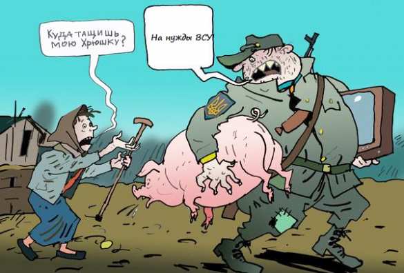 Типичная Украина: офицер ВСУ вымогал взятку у матери военнослужащего | Русская весна