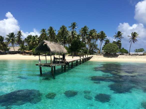 Богачи отправляются на секретный остров, чтобы изменить ДНК | Русская весна