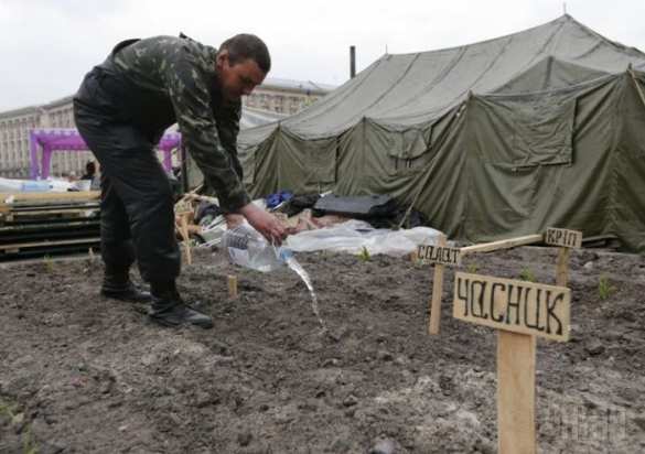 &quot;Нет у революции конца&quot; - неизвестные активисты притащили к Верховной Раде две пушки времен Великой Отечественной | Русская весна