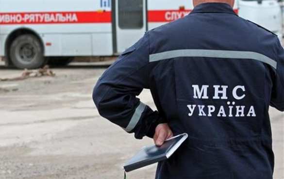 В Тернопольской области сотрудники ГосЧС спасли 100 свиней | Русская весна