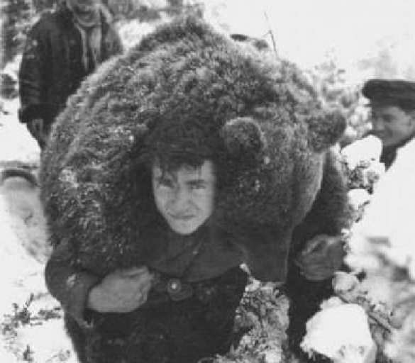 Как украинские националисты на спине дохлого медведя носили (ВИДЕО А. Шария) | Русская весна