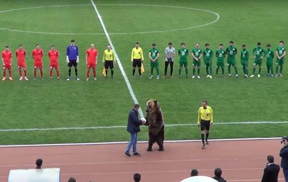 В России футбольный матч открыл медведь (ВИДЕО) | Русская весна