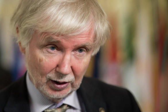 МИД Финляндии: у ЕС нет ни сил, ни ресурсов для создания единой армии | Русская весна