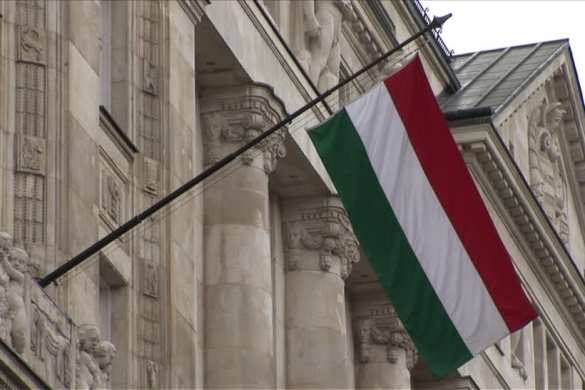 Украинские неонацисты сорвали венгерский флаг с горсовета на Закарпатье (ВИДЕО) | Русская весна