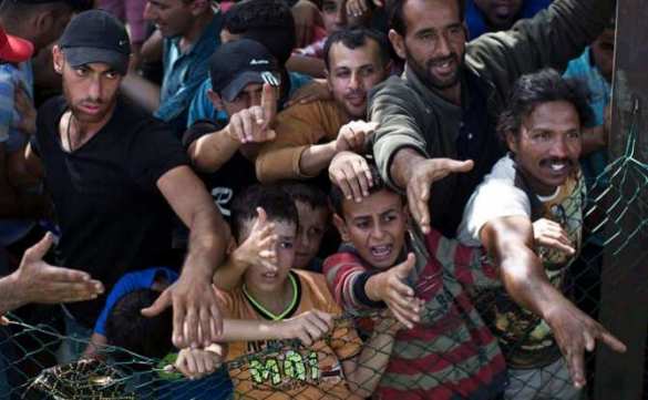 Трамп обвинил Маккейна в попытке развязать Третью мировую | Русская весна