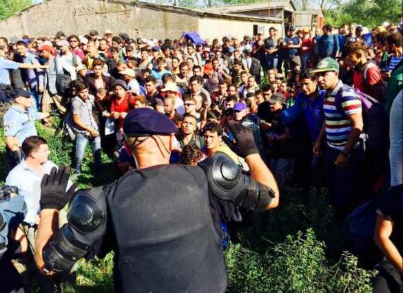 ЕС даст Турции 3 млрд евро, чтобы та спасла их от беженцев | Русская весна