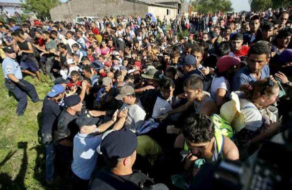 Полиция Словении применила слезоточивый газ против мигрантов | Русская весна