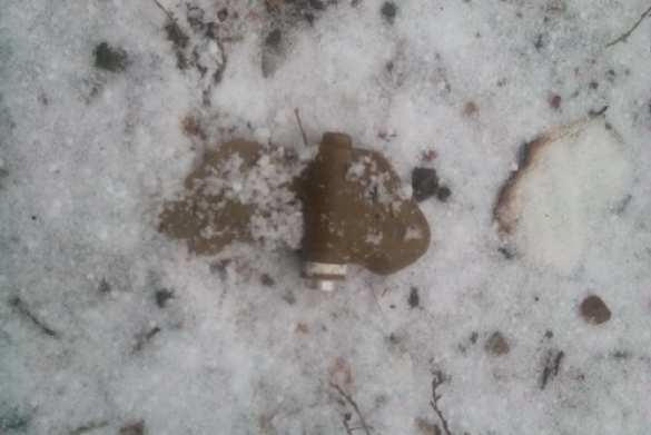 Украинские фашисты-диверсанты устанавливают противопехотные мины у жилых домов (фото) | Русская весна