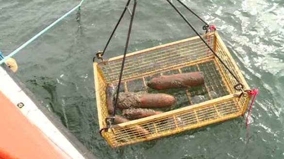 Максимальный риск: как обезвреживают мины под Крымским мостом (ФОТО) | Русская весна