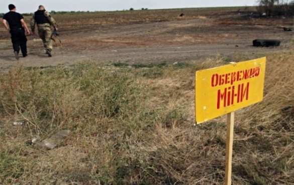 Трое мирных жителей ДНР за сутки подорвались на украинских растяжках, — Басурин | Русская весна