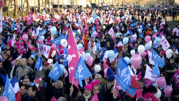 Тысячи французов приняли участие в акции против однополых браков (ВИДЕО) | Русская весна