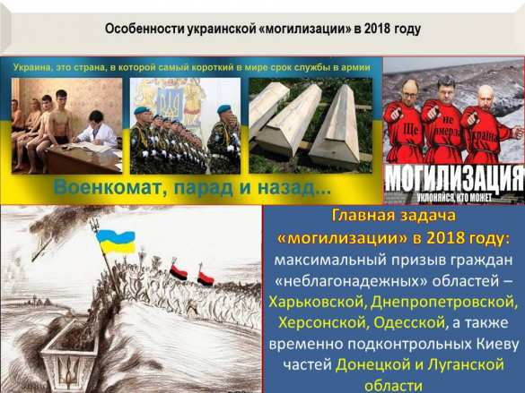 Украинские СМИ: жители Луцка не знают, за что должны воевать, и бегут от мобилизации (ВИДЕО) | Русская весна