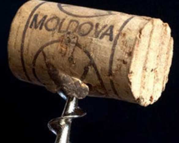 В НАТО одобрили пакет по укреплению обороноспособности Молдавии | Русская весна