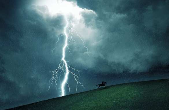 На Западной Украине молния убила мужчину и его лошадь (ВИДЕО) | Русская весна