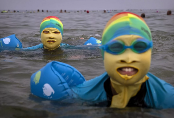 Как прекрасно быть живым: Украинские соцсети «взрывает» новый тренд — «будни уклониста» (ВИДЕО) | Русская весна