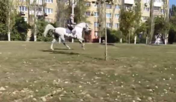 Моторола в плену у «ИГИЛ» (ВИДЕО) | Русская весна