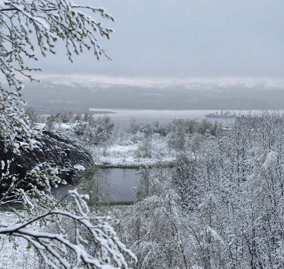 Вот такое лето: в Мурманске выпал снег (ФОТО, ВИДЕО) | Русская весна