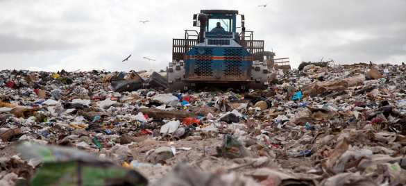 Львовский мусор как символ коммунального коллапса Украины (ФОТО, ВИДЕО) | Русская весна