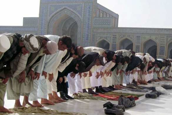 Немцы взбунтовались против введения исламских праздников | Русская весна