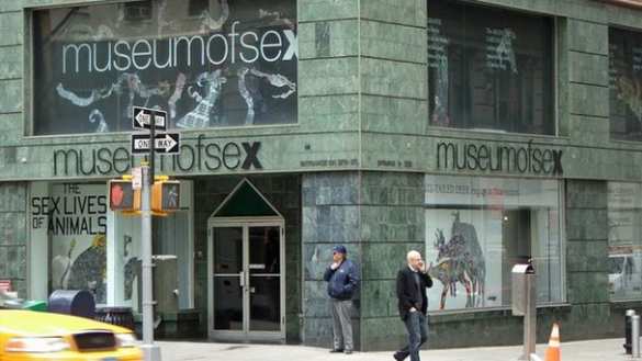 Музей секса в Нью-Йорке обвинили в расизме | Русская весна