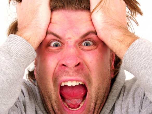 Тысяча страниц и ни одного вывода: в США представили отчёт о расследовании по России | Русская весна