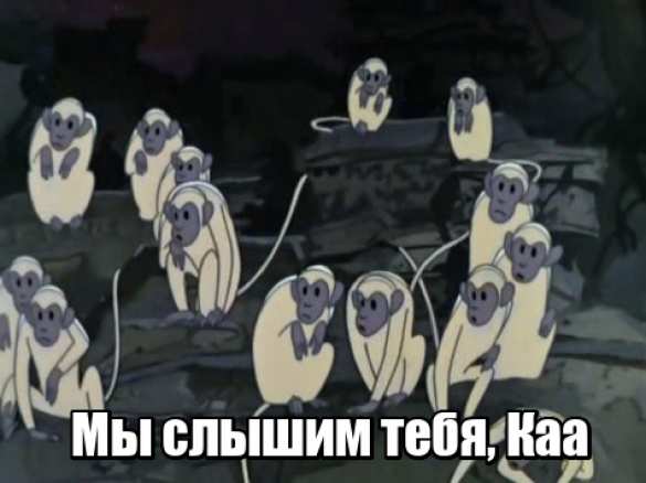 Пресс-конференция Путина вошла в Топ-5 популярных запросов украинцев (ИНФОГРАФИКА) | Русская весна