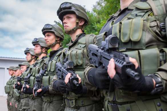 Украина перебрасывает нацгвардию к румынской границе | Русская весна