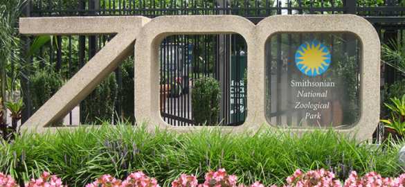 В зоопарке Вашингтона прогремел взрыв | Русская весна