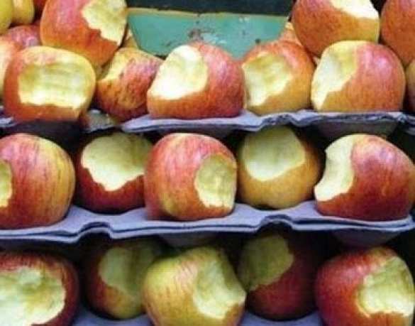 В Киеве пройдет акция по надкусыванию продуктов в супермаркетах | Русская весна