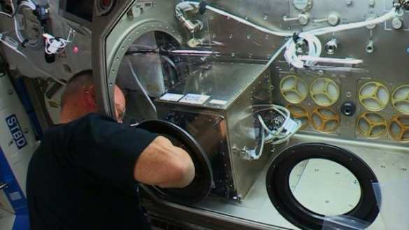 Напечатанные на МКС детали привезли на Землю | Русская весна