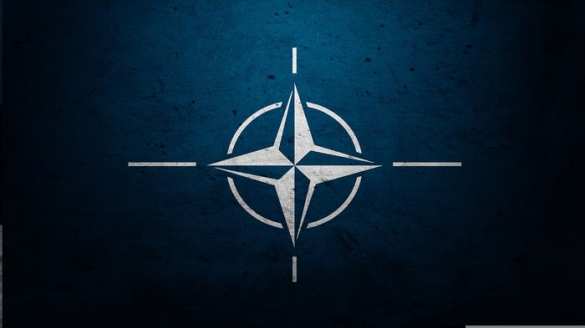 Западные лидеры осуждают прохождение российского гуманитарного конвоя, но аккуратно | Русская весна