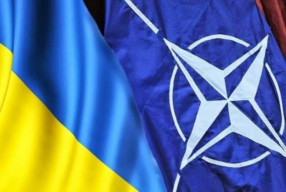 НАТО продолжит наращивать свои военные возможности в Черном море | Русская весна