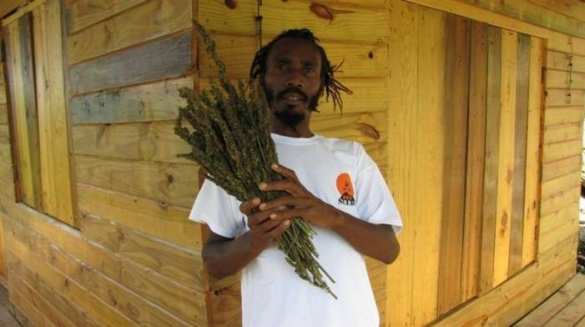 Новости культурной столицы: 30 пьяных африканцев подрались в бане в Санкт-Петербурге и разбежались голыми по району (+ВИДЕО) | Русская весна