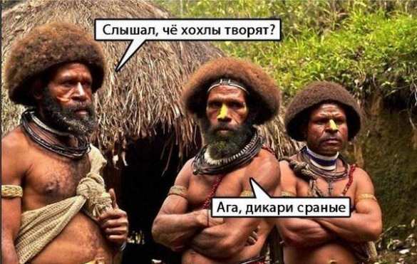 Перемога: 250 украинских карателей отправились наводить порядок в Конго (ВИДЕО) | Русская весна