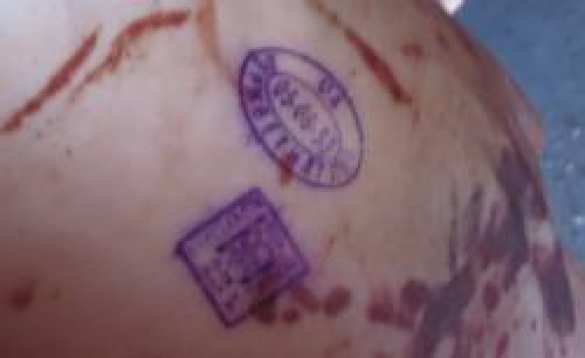 В Крым из Украины пытались ввезти 19 тонн опасной свинины | Русская весна